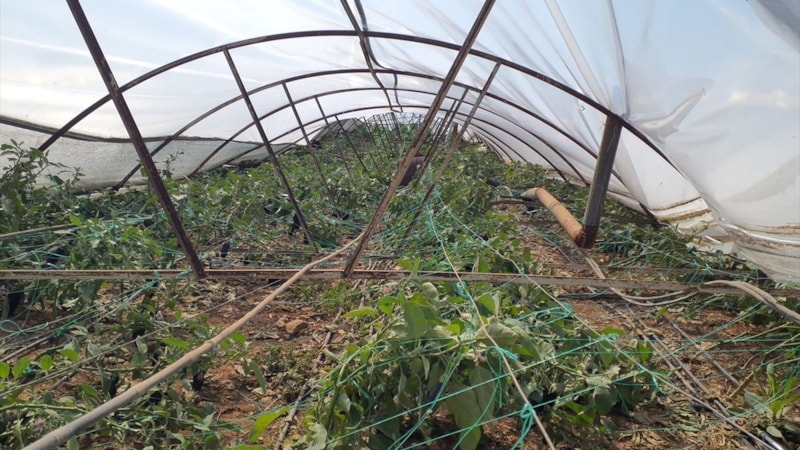 TARSİM: Antalya'daki hortumdan etkilenenlere 39 milyon TL ödeme yapıldı