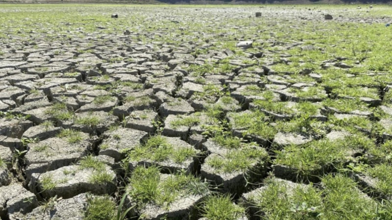 Tehlike sürüyor: Marmara'da yağışlar yüzde 56 azaldı