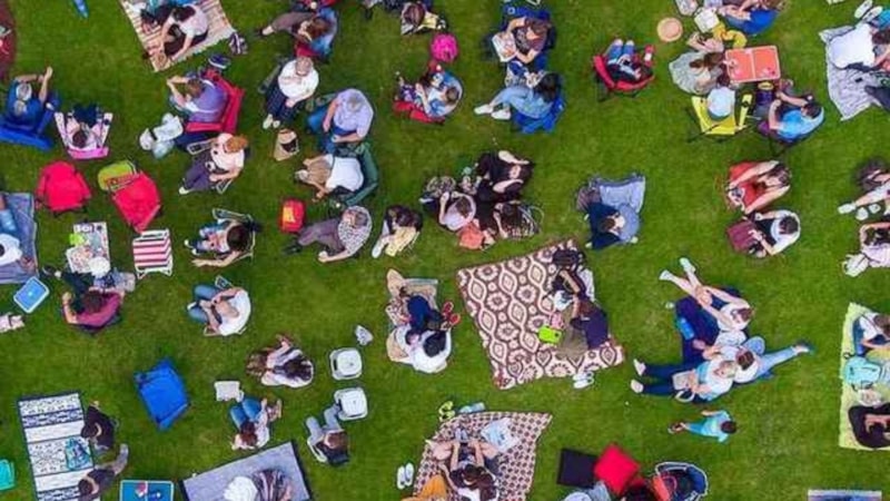 Optik İllüzyon Testi: Sadece beyni hızlı çalışanlar buluyor! Piknik topunu görebildiniz mi?