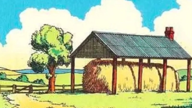 Resimdeki mantık hatasını 100 kişiden sadece 1'i ilk bakışta farkediyor!