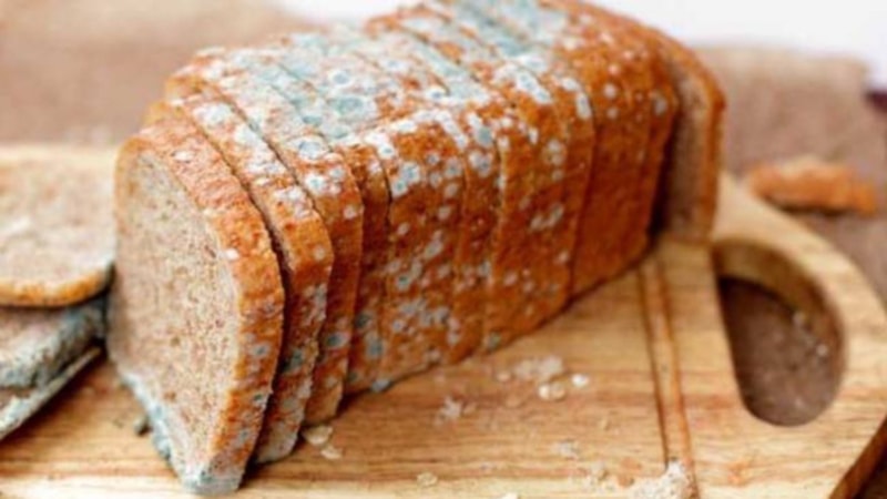 Ekmeğin yanına birer tutam ekleyin, küfe son verin…