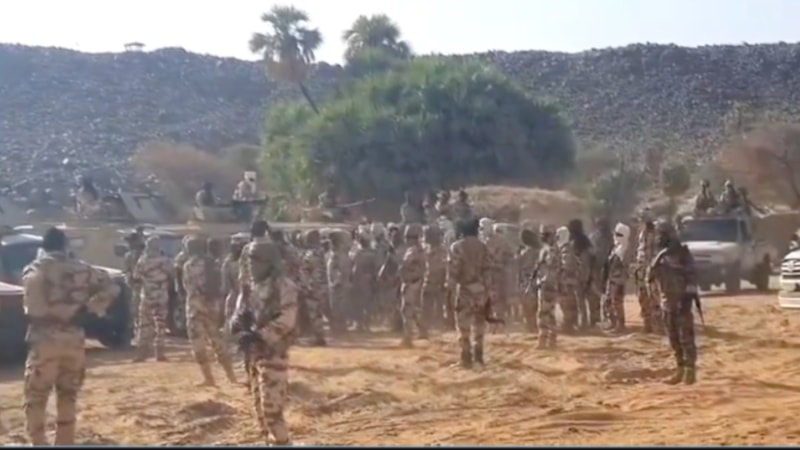 Çad'da çobanlarla çiftçiler çatıştı: 42 kişi öldü