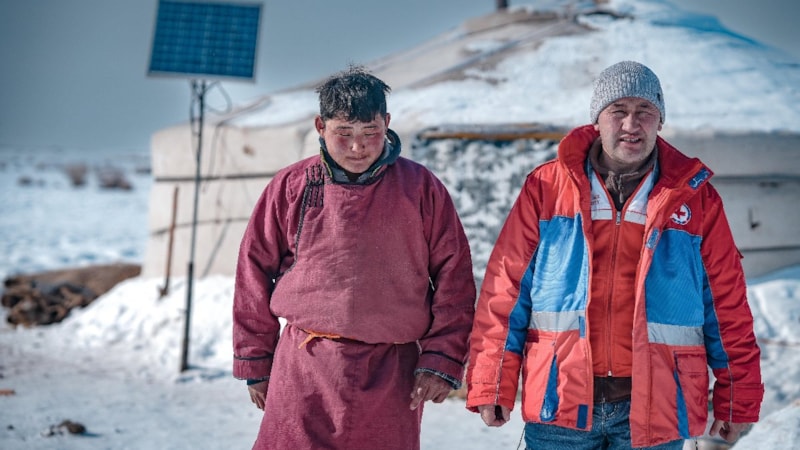 Moğolistan'da son 50 yılın en soğuk kışı: 5 milyona yakın hayvan öldü