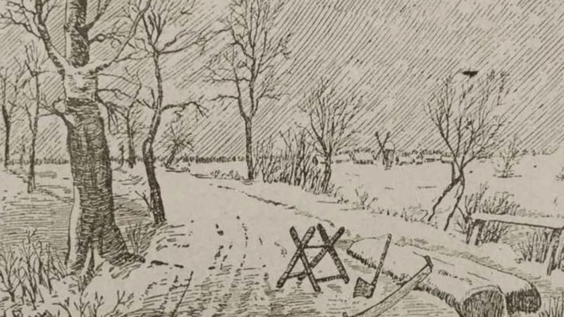 Zeka ölçer: 7 saniye içinde ormandaki adamı bulan, deha sayılıyor