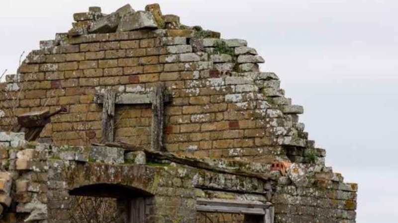Optik İllüzyon: Siz de bir bakın! Resimdeki tünemiş baykuşu kimse göremiyor