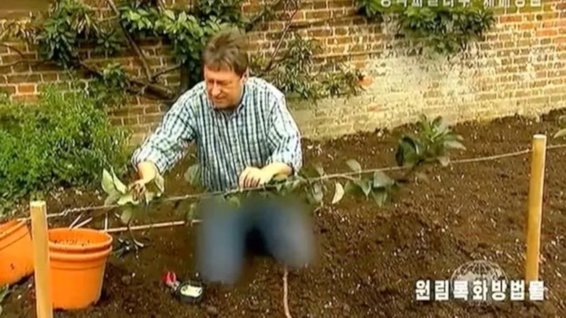 Kuzey Kore'de devlet televizyonu kot pantolonunu sansürledi