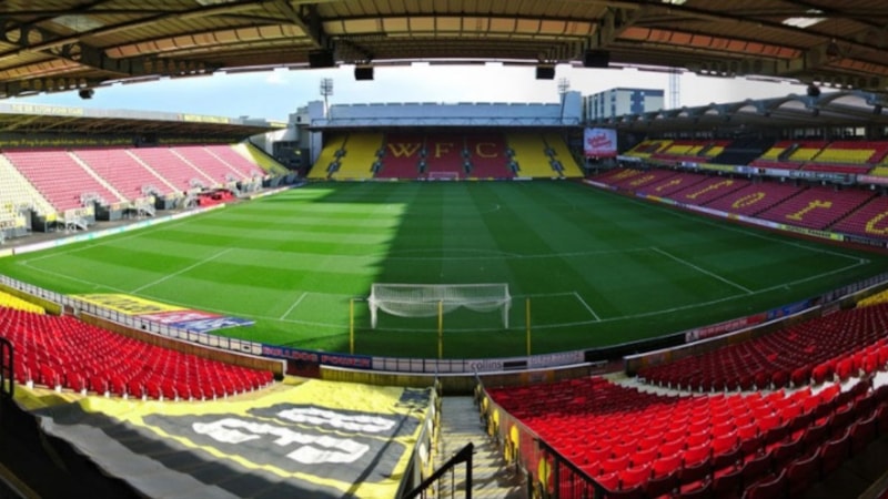 Watford'un halı gibi zemini viral oldu! Türk takımları örnek alsın