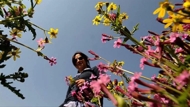 31 Mart seçim günü seçmeni nasıl bir hava bekliyor?