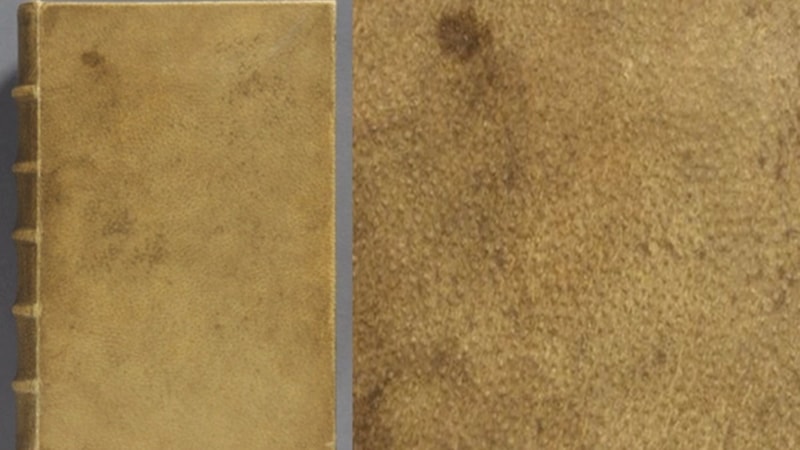 Harvard'daki insan derisi ile kaplanan kitabın cildi sökülecek