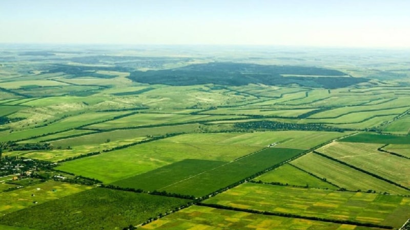 Ayakkabı fiyatına arsa tapusu! İlanı gören o şehre akın edecek