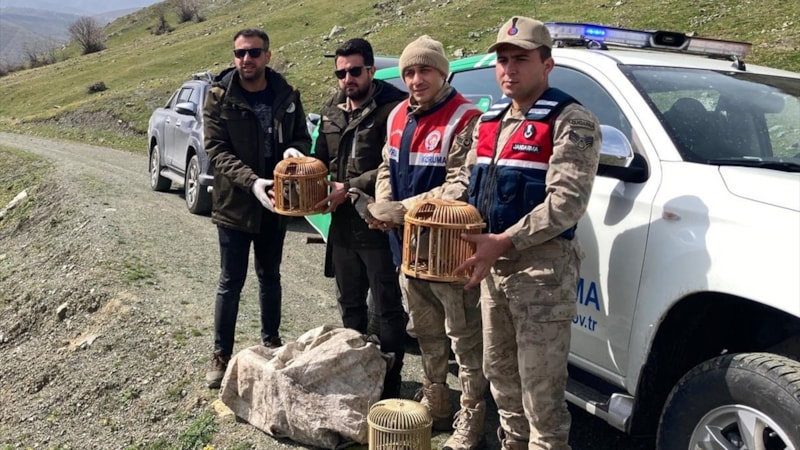 Bitlis'te keklik avlayan 4 kişiye yüklü para cezası