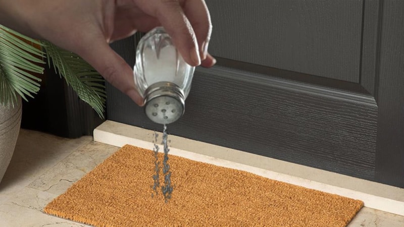 Dış kapının önüne tuz serpmek bakın ne işe yarıyor