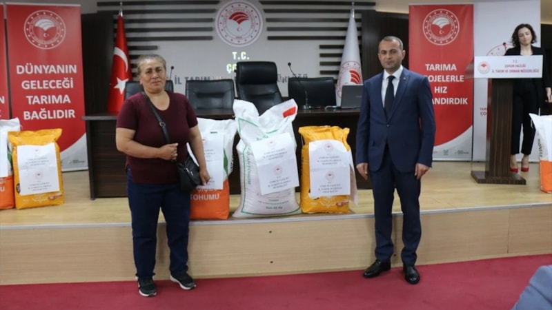 Leblebinin başkenti Çorum'da üreticilere 124 ton nohut tohumu dağıtıldı
