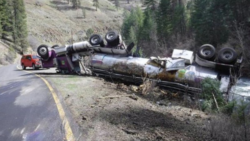 ABD'de 25 binden fazla somon balığı trafik kazasında öldü
