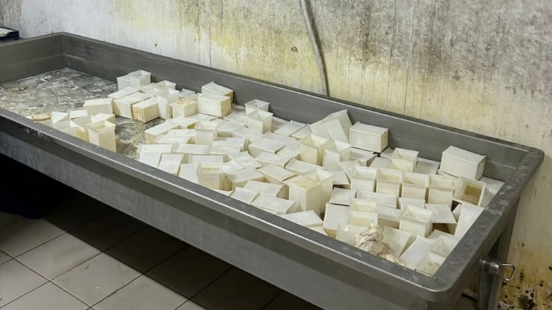 İzmir'de tüketim tarihi geçmiş yaklaşık 20 ton peynir ele geçirildi