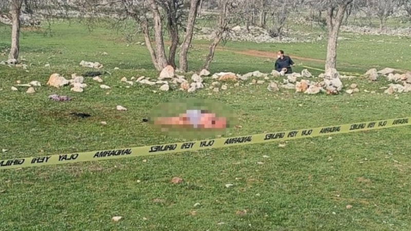 Antalya'da 3 köpeğin saldırdığı kadın öldü