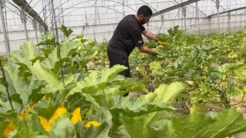 Filistinli yetkiliden açıklama: İthal edilen tüm mallar, İsrail limanları üzerinden ulaşıyor