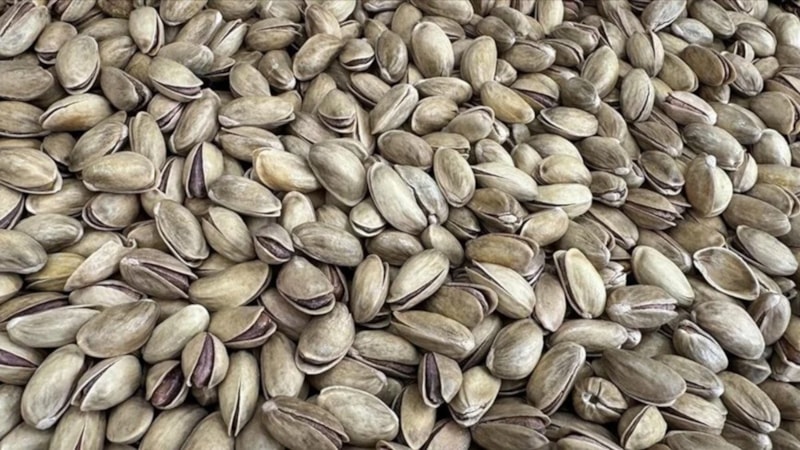 Türkiye'den 3 ayda 73,8 milyon dolarlık fıstık ihraç edildi! En çok İtalya'ya gönderildi