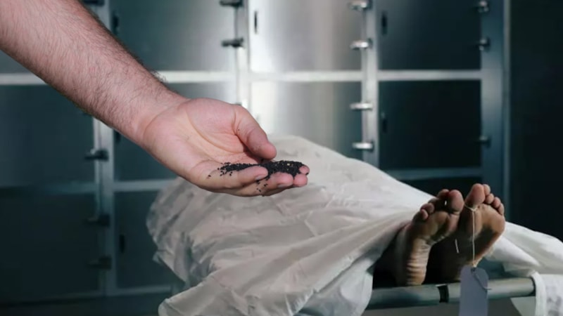 Ölünün üzerine çörek otu dökmek bakın ne işe yarıyor