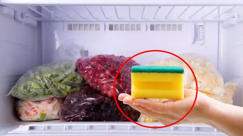 Derin dondurucuya bulaşık süngeri koyun, o sorundan kurtulun