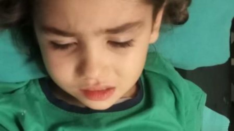 Adana'da bayram ziyaretinden dönen küçük çocuğa köpek saldırdı