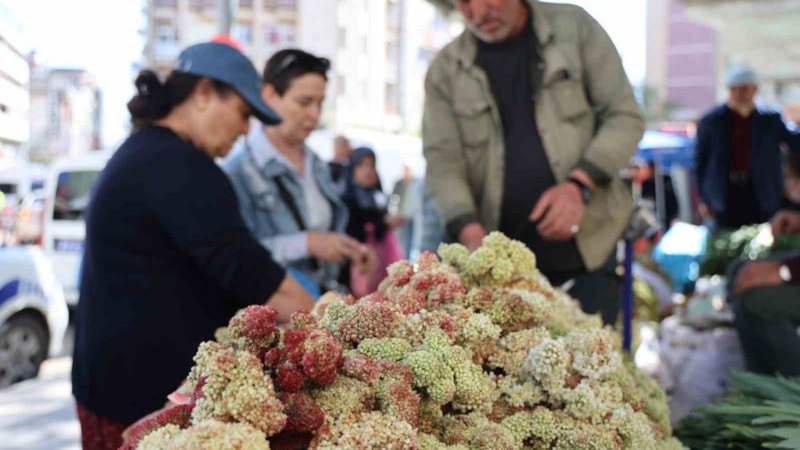 Hasadı başladı, talepler patladı! Kilosu 150 TL ama organlara birebir...