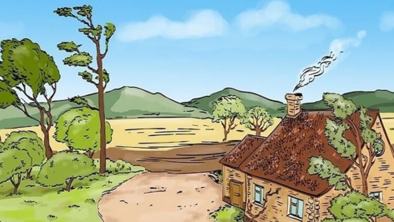 Mantık hatasını sadece üstün zekalılar ilk bakışta görüyor! Siz hatayı farkettiniz mi?