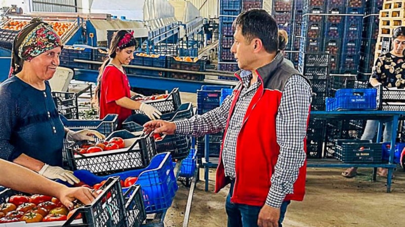 Turizm şehri Muğla'nın Ortaca ilçesi tarım ürünleriyle de dünya pazarlarında