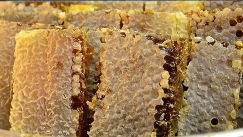 Tunceli'de Munzur balına coğrafi işaret verildi