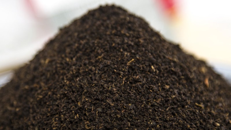 Çayın tozu nasıl alınır? İşte ödüllü yöntem