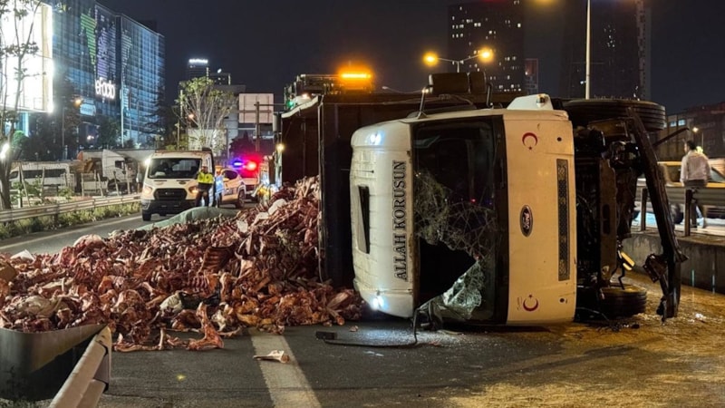 İstanbul Küçükçekmece'de devrilen sakatat yüklü kamyonun sürücüsü kaçtı