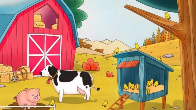 Algı testi: Çiftlikteki kayıp tavuğu sadece X-Ray gözlüler bulabiliyor