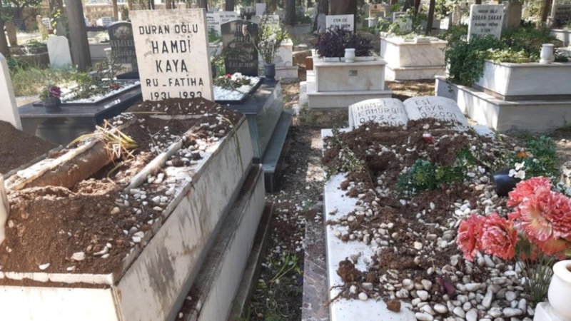 Muğla'da domuzlar mezarlara da dadandı