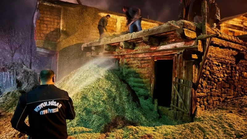 Sivas’ta yıldırım düşen ahır ve samanlık yandı: 30 tavuk ve ördek öldü