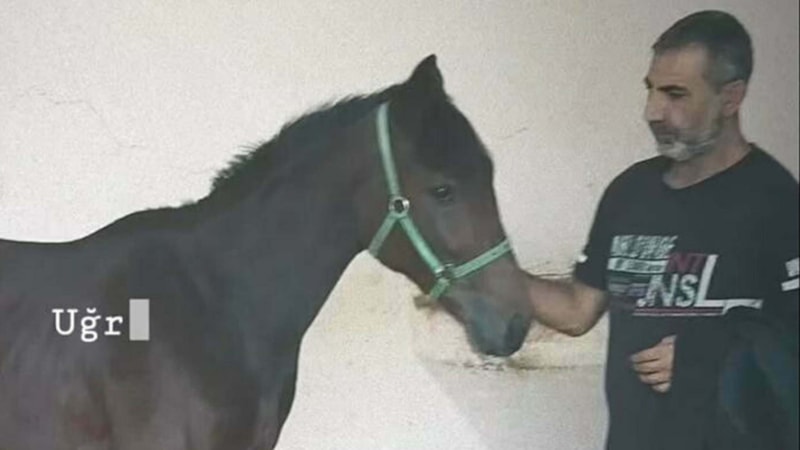 İzmir'de tek yumruk darbesiyle hastanelik olan seyis, 97 gün sonra öldü