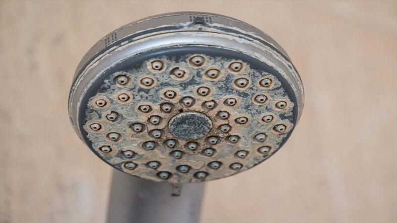 Tıkalı delik kalmayacak: Duş başlığına bunu yapın, kireçten arındırın