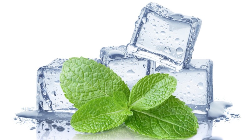 Naneli şeylerden sonra su içildiğinde ağzınızın soğumasının sebebi bakın neymiş…