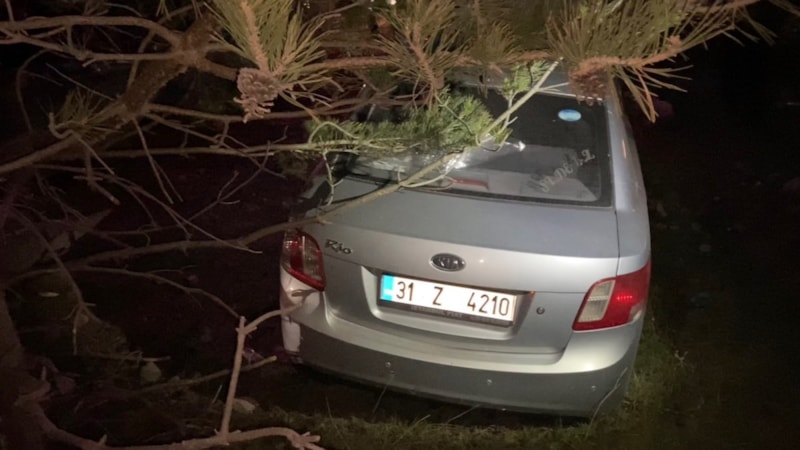 Ardahan'da yoldan çıkan otomobilin sürücüsü yaralandı