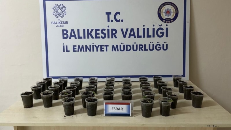 Balıkesir'de uyuşturucu operasyonu
