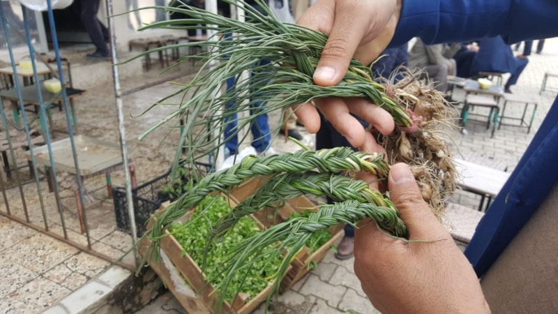 Kayalıklardan toplanıyor, kilosu 5 binden kapış kapış gidiyor...