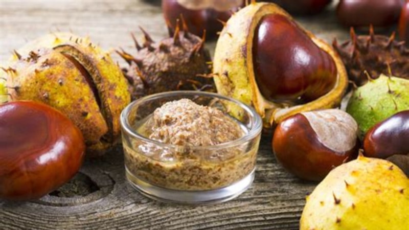 At kestanesi kremi nedir, ne işe yarar? At kestanesi kremi nelere iyi gelir?