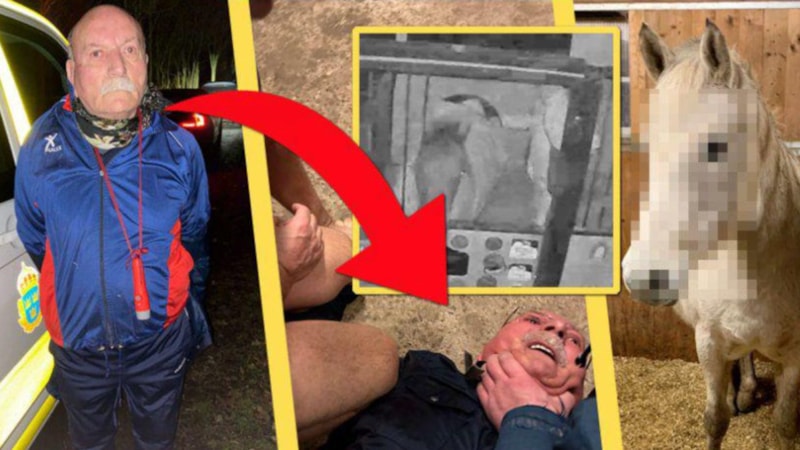 İsveç'te PKK'nın sözde sorumlusu ata tecavüz ederken yakalandı