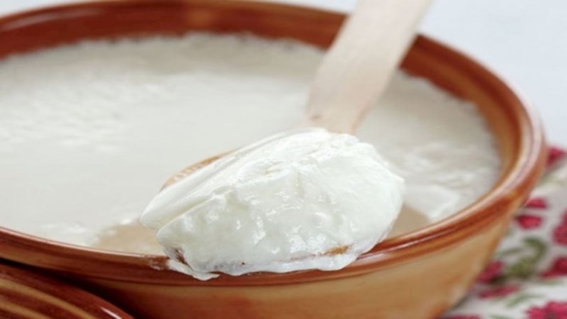 Türkiye'den lezzet şovu! Dünyanın en iyi yoğurtlu yemekleri açıklandı...