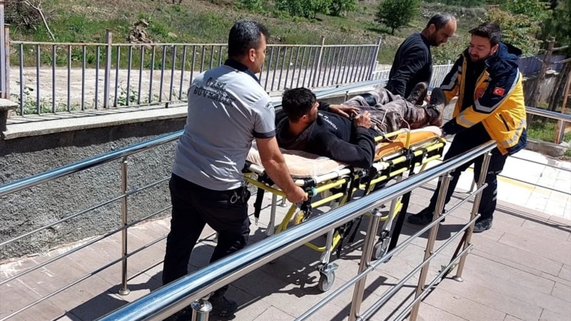 Çorum'da domuz saldırısına uğrayan kişi yaralandı