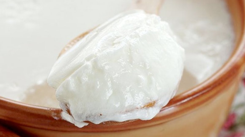 Mayasız olur mu demeyin! Sütün içine 1 avuç atın, taş gibi tutuyor...