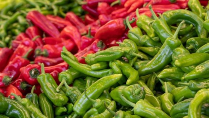 Biber sevenler dikkat! Herkes faydalarını biliyor meğer zararları da saymakla bitmiyor…