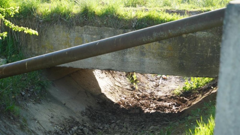 Kastamonu'da sulama kanalında başı kesilmiş ceset bulundu