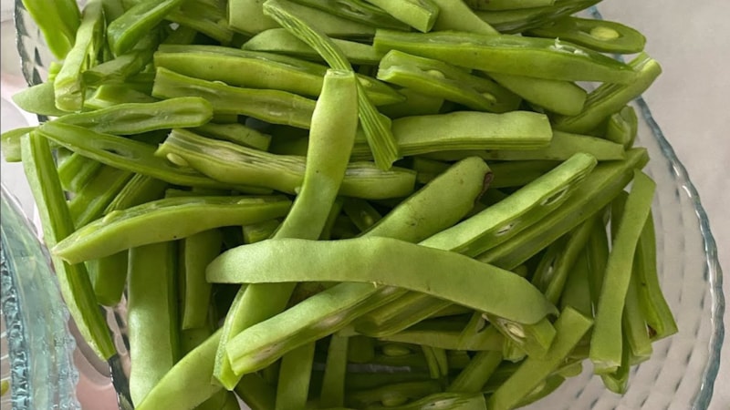 Babaanne formülü: Bu yöntemle kışlık fasulyeniz yıllarca bozulmayacak