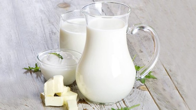 Laktozsuz süt nedir? Laktozsuz sütün faydaları nelerdir?