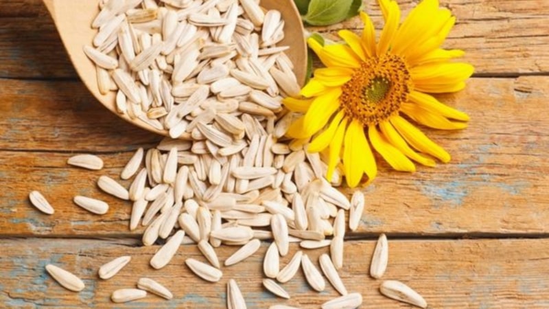 Ay çekirdeği bakın nelere iyi geliyormuş